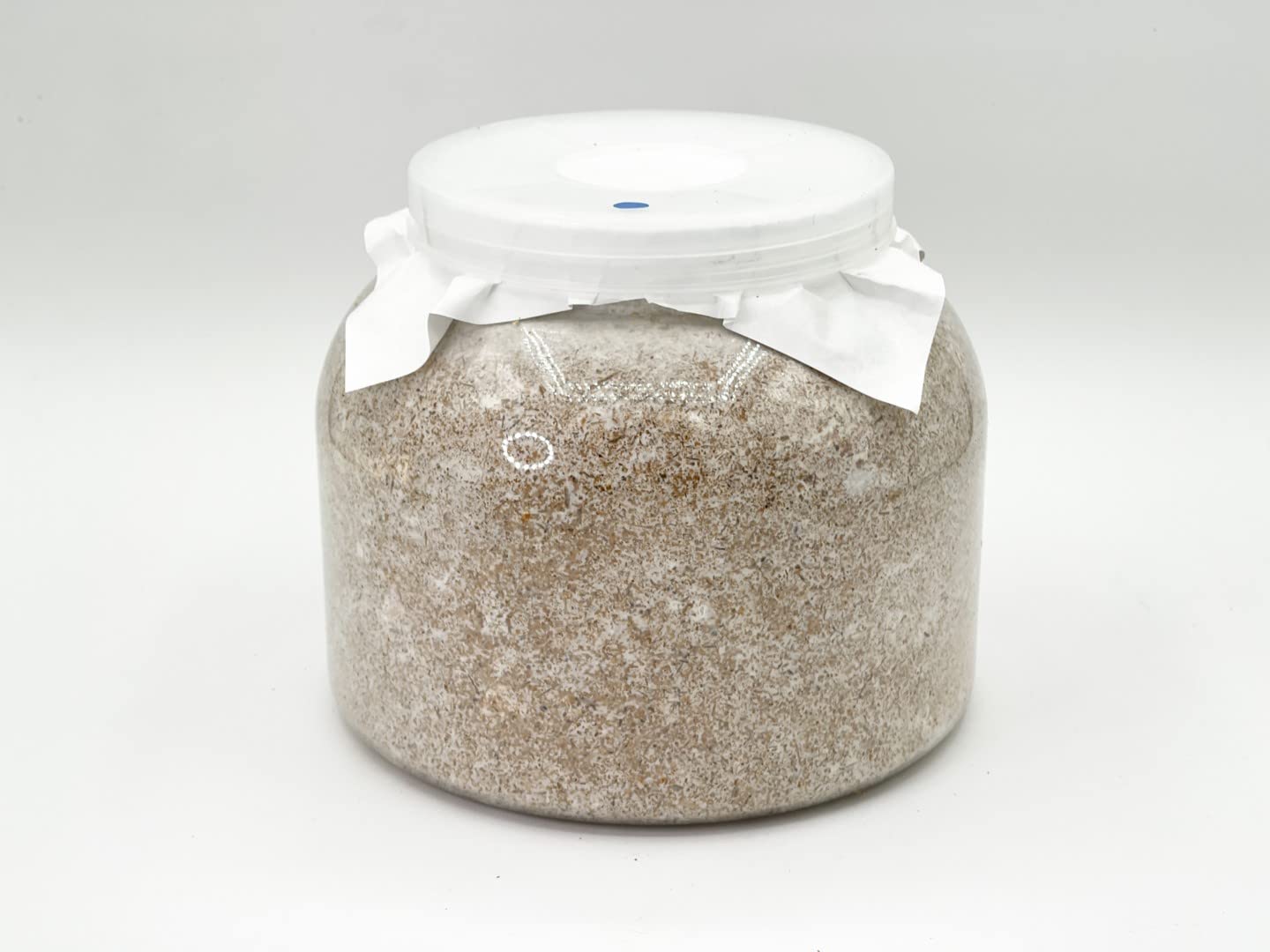 ギネス7冠 スマトラオオヒラタ109.3mm【DDA】F-ZEROブナ 菌糸 dda クワガタ 菌糸ビン 菌糸瓶 幼虫 エサ (2300ボトル(ブナ50％))